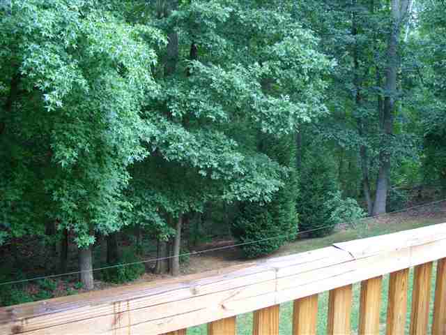 15 Patrol Club Road Greenville, SC 29609 - Photo 12 of 17 Gallery Image 12