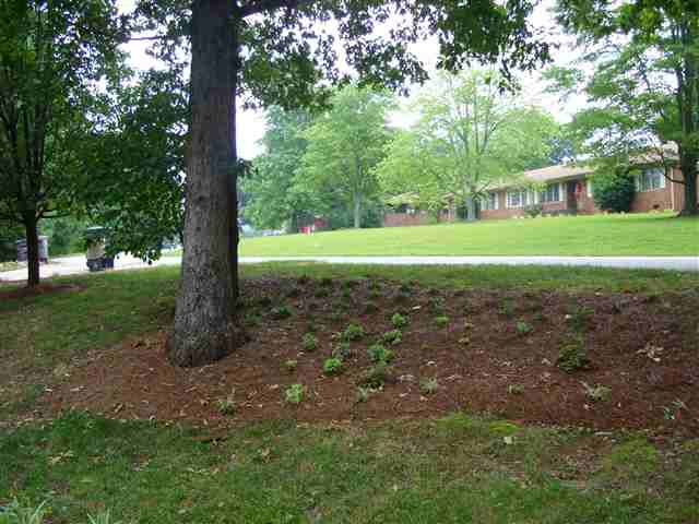 15 Patrol Club Road Greenville, SC 29609 - Photo 13 of 17 Gallery Image 13