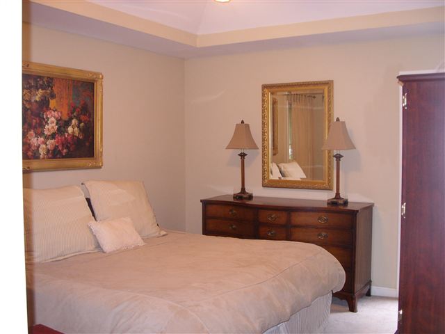 15 Patrol Club Road Greenville, SC 29609 - Photo 9 of 17 Gallery Image 9