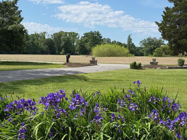 22360 Great Oak Landing Road Chestertown, MD 21620 - Photo 5 of 65 View from front