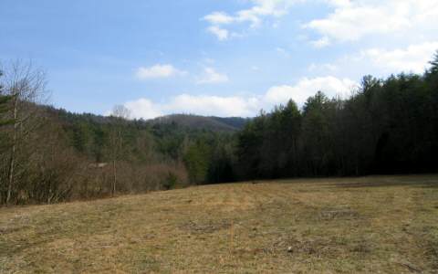 Main View