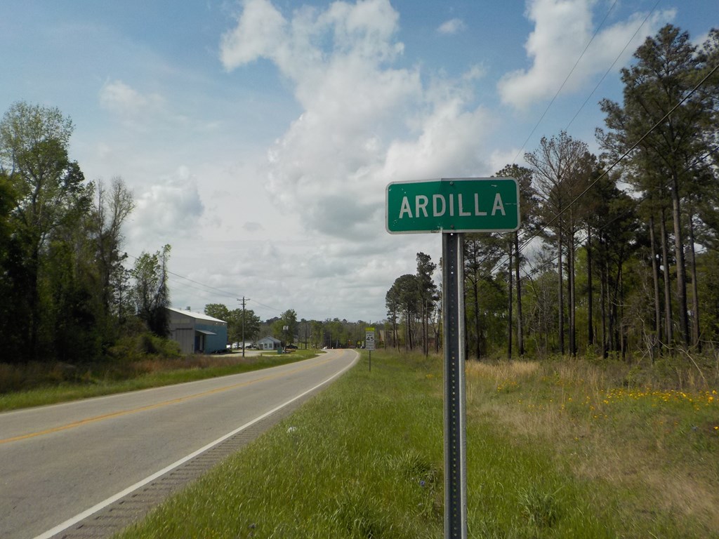 5.3-ac Memphis Church Road Dothan, AL 36301 - Photo 5 of 29
