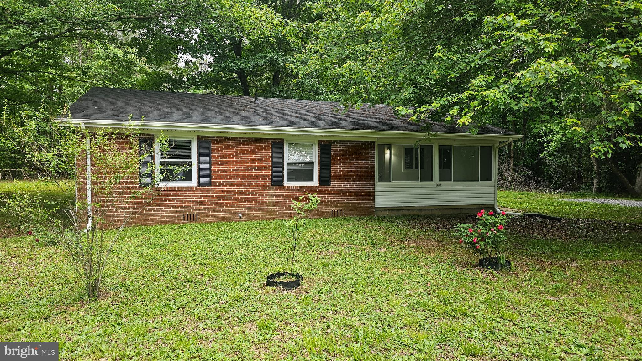 a backyard of a house with plants and large trees