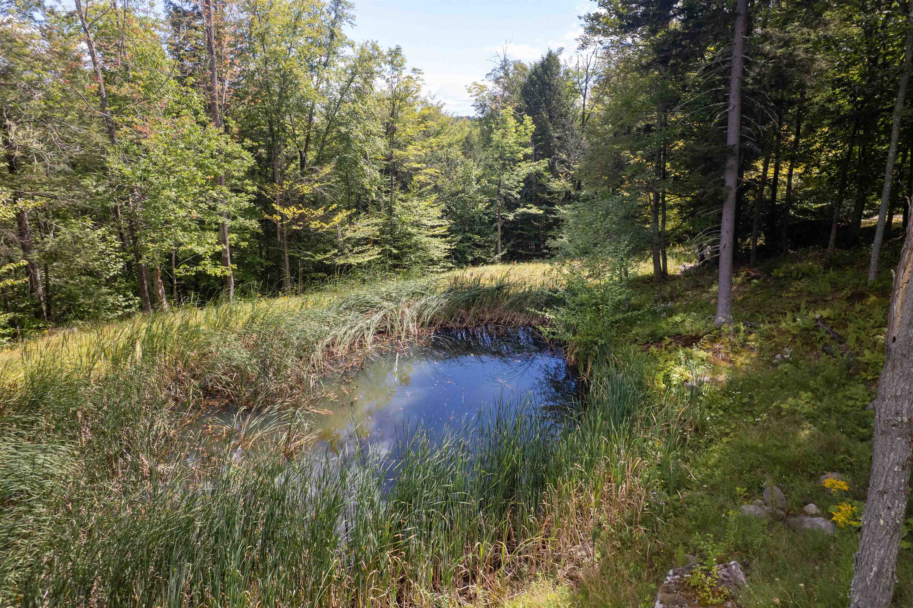 374 Winhall Hollow Road Winhall, VT 05340 - Photo 18 of 20
