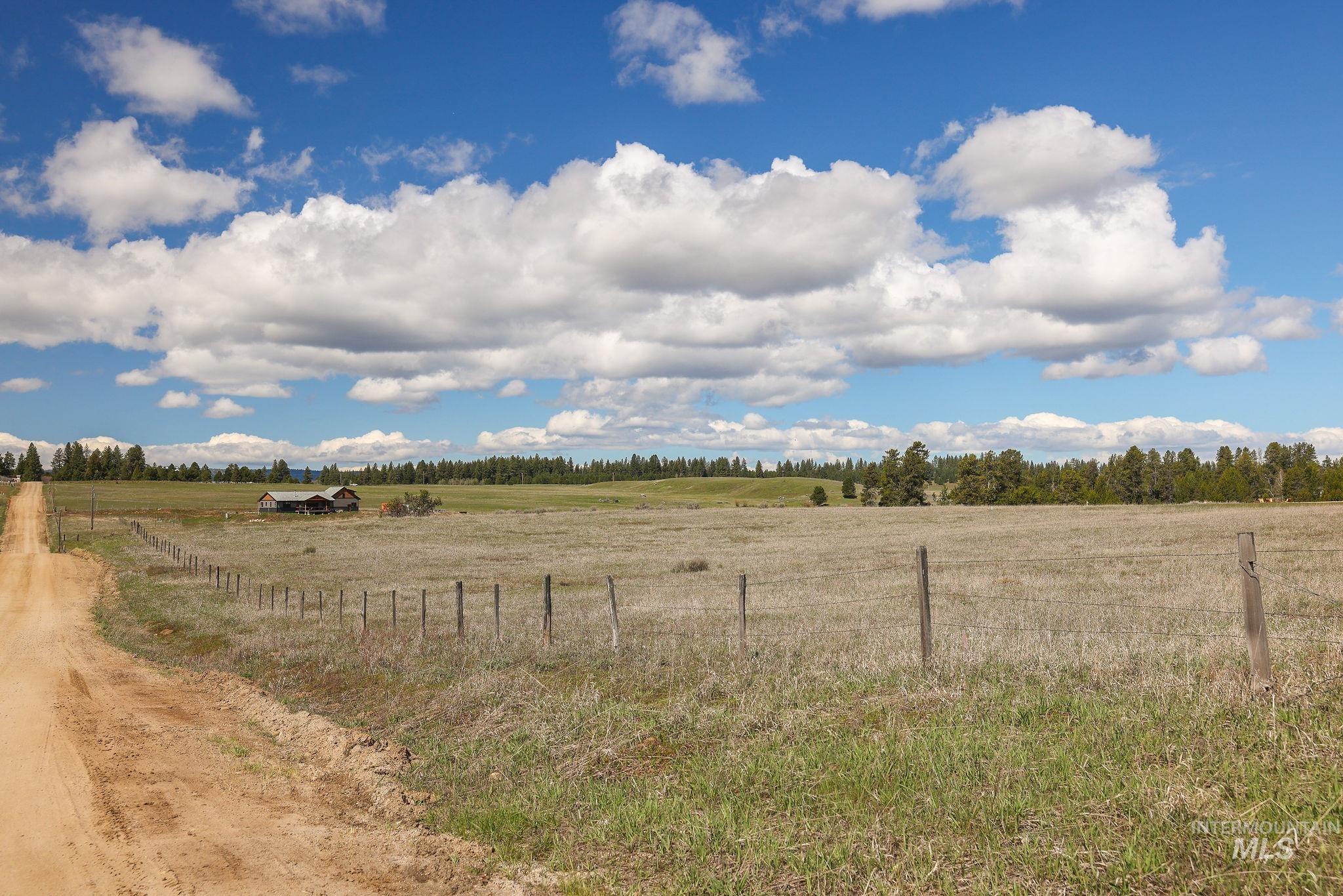 13739 Grouse Knoll Road McCall, ID 83638 - Photo 6 of 15