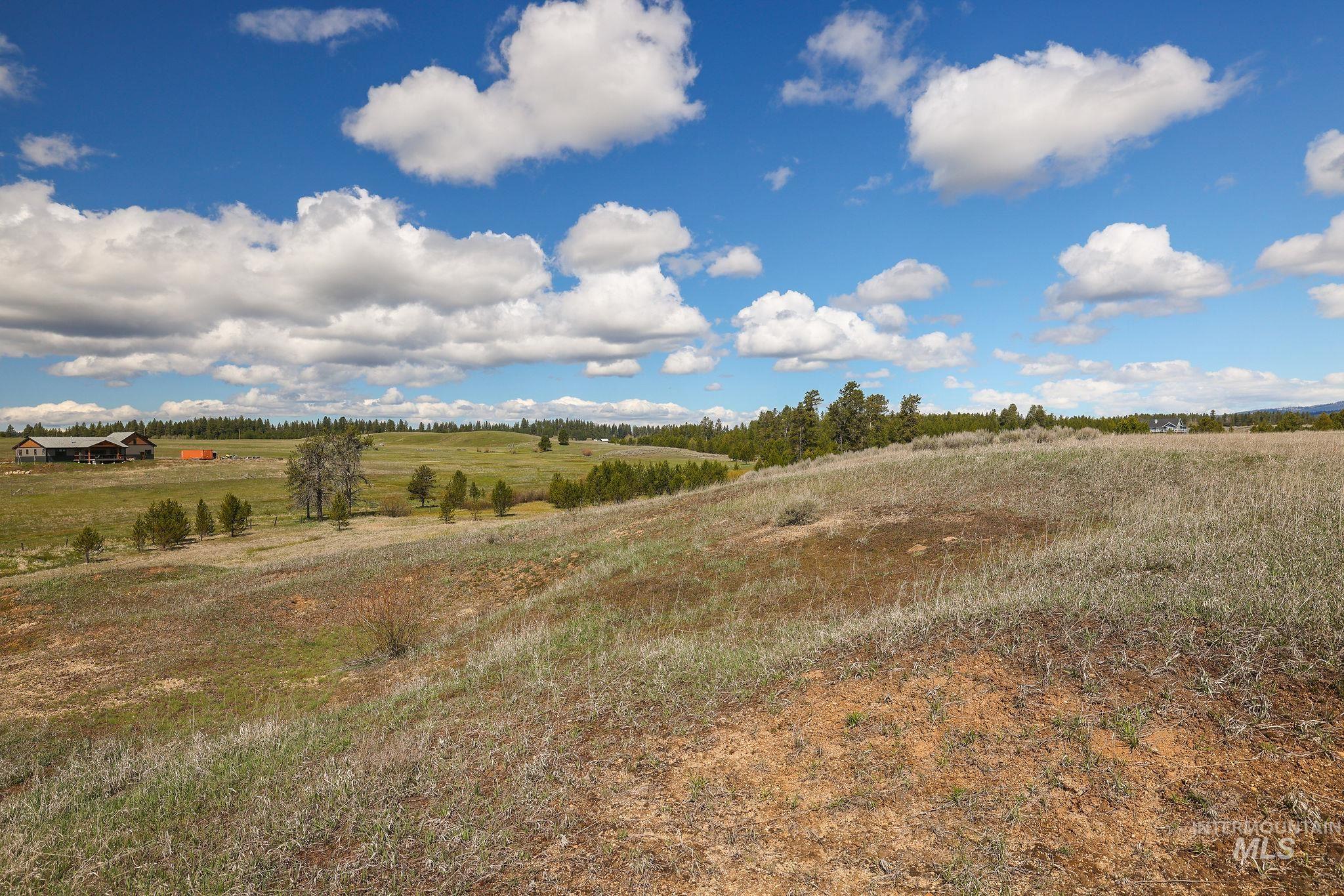 13739 Grouse Knoll Road McCall, ID 83638 - Photo 7 of 15