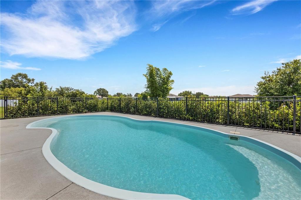 1918 Berry Road Plant City, FL 33567 - Photo 47 of 53 a view of a swimming pool and trees in the background