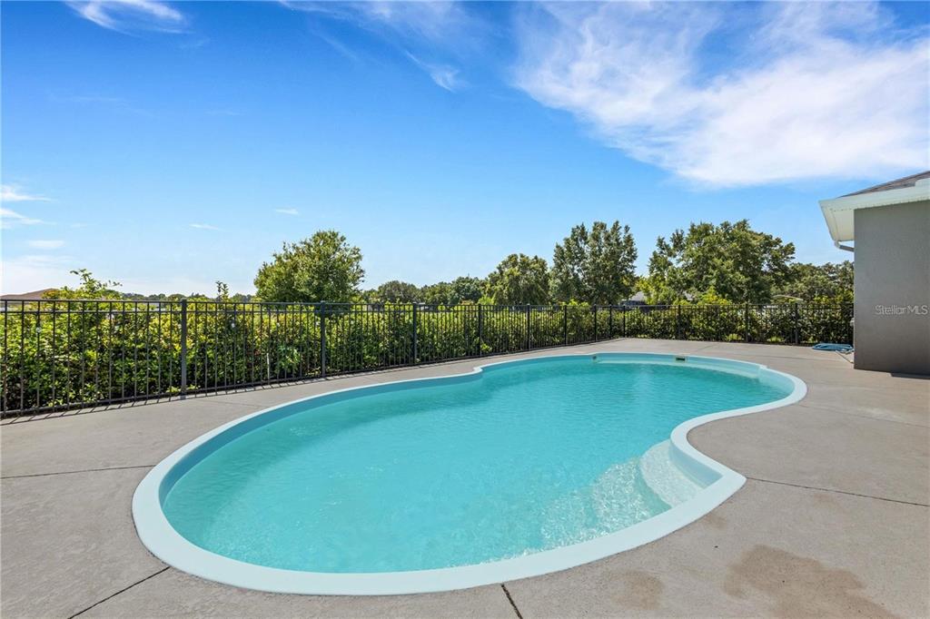 1918 Berry Road Plant City, FL 33567 - Photo 48 of 53 a view of a swimming pool with a yard