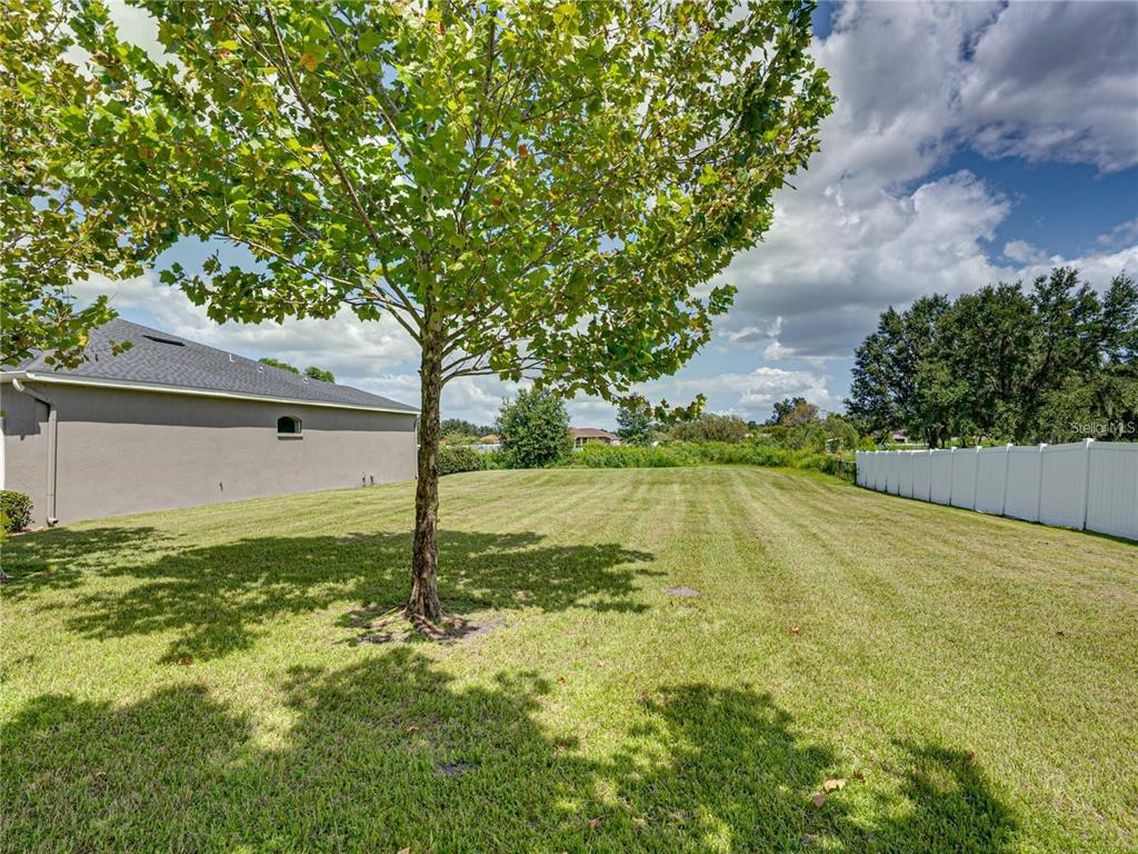 1918 Berry Road Plant City, FL 33567 - Photo 49 of 53 a view of a outdoor space