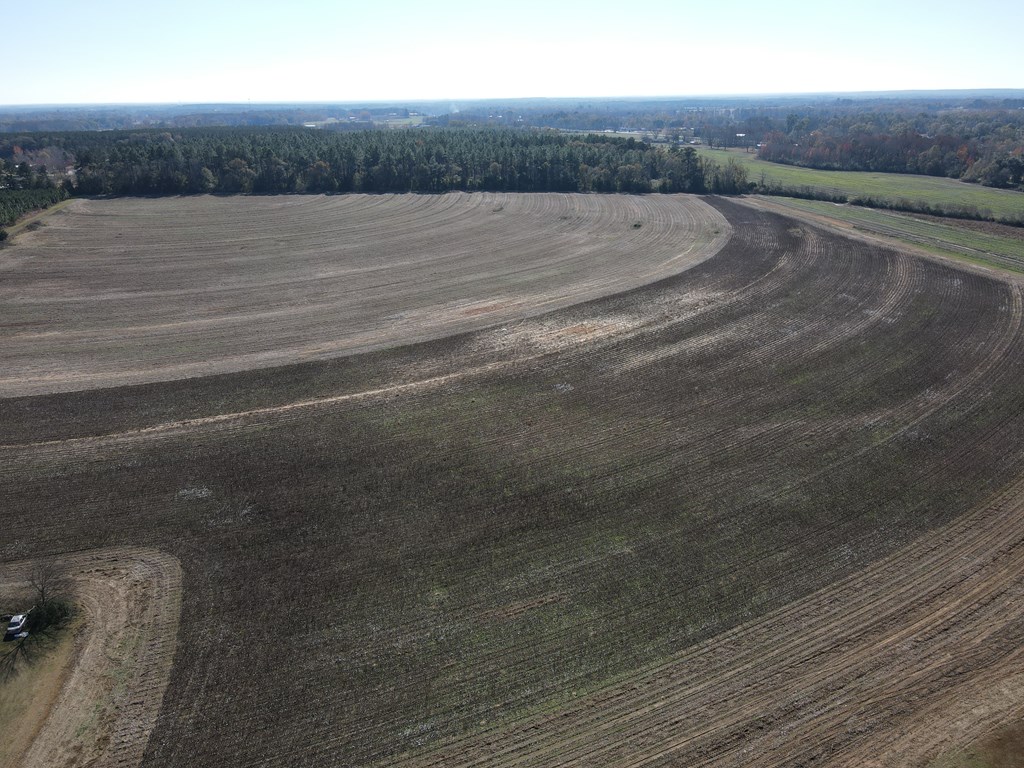 0 Coot Fowler Road Dothan, AL 36301 - Photo 2 of 6