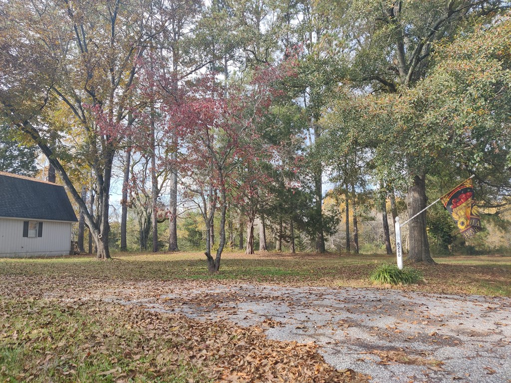 6266 Old Calhoun Falls Road Calhoun Falls, SC 29628 - Photo 3 of 33 Gallery Image 3
