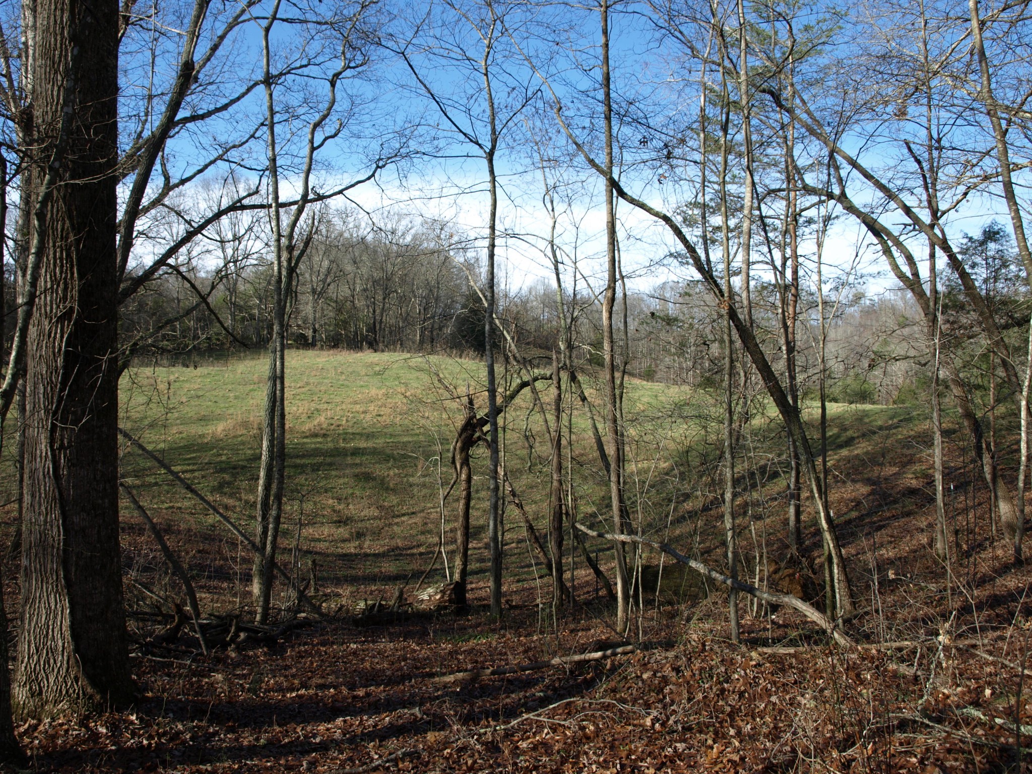0 Big Creek Road La Follette, TN 37766 - Photo 29 of 30 Gallery Image 29