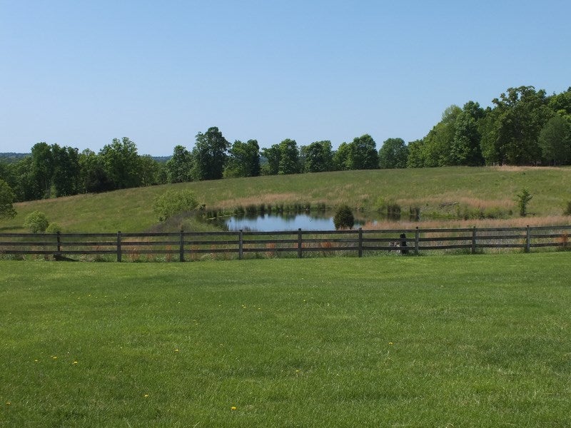 266 King Road Leitchfield, KY 42754 - Photo 7 of 15 Gallery Image 7