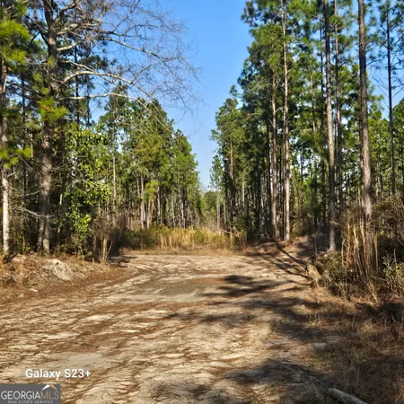 $98,000 | 0 Mill Branch Club Road 1 K, Pembroke, GA 31321