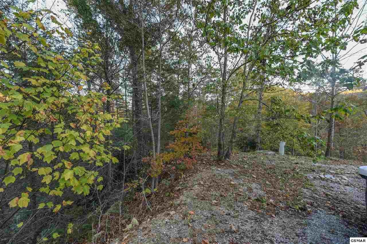 65 Whetstone Road Sevierville, TN 37862 - Photo 10 of 13