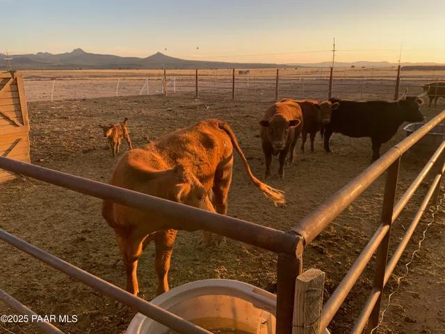 $599,999 | 3900 West Runway Road, Paulden, AZ 86334