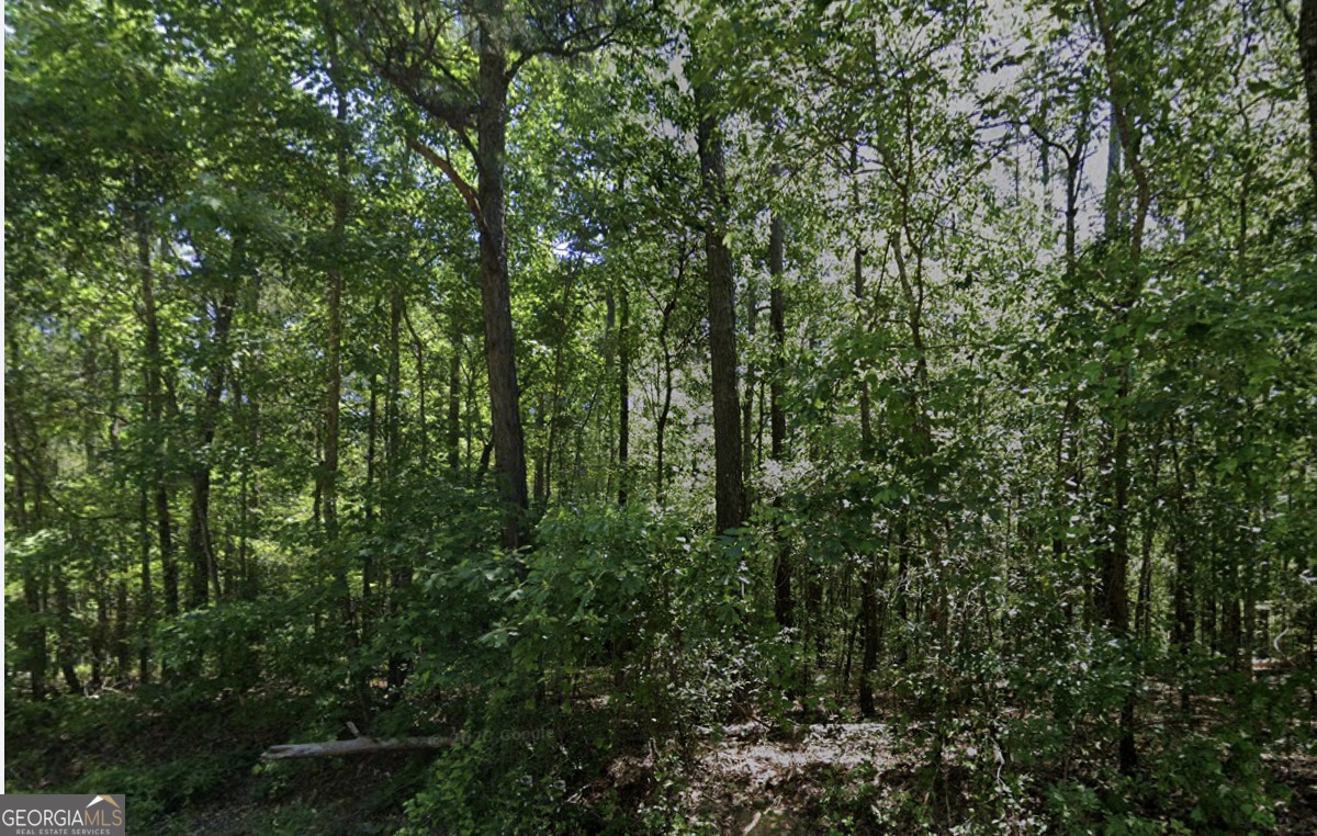0 Howard Road Roberta, GA 31078 - Photo 1 of 1 a view of a forest with lots of trees