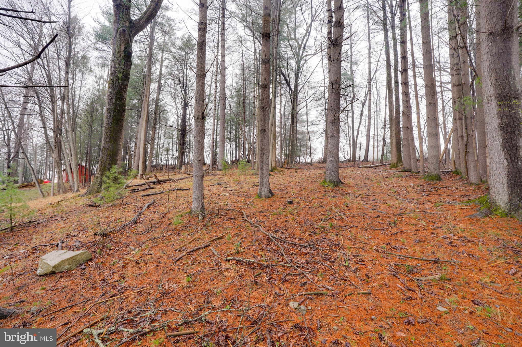 3065 Buchanan Valley Road Orrtanna, PA 17353 - Photo 11 of 12