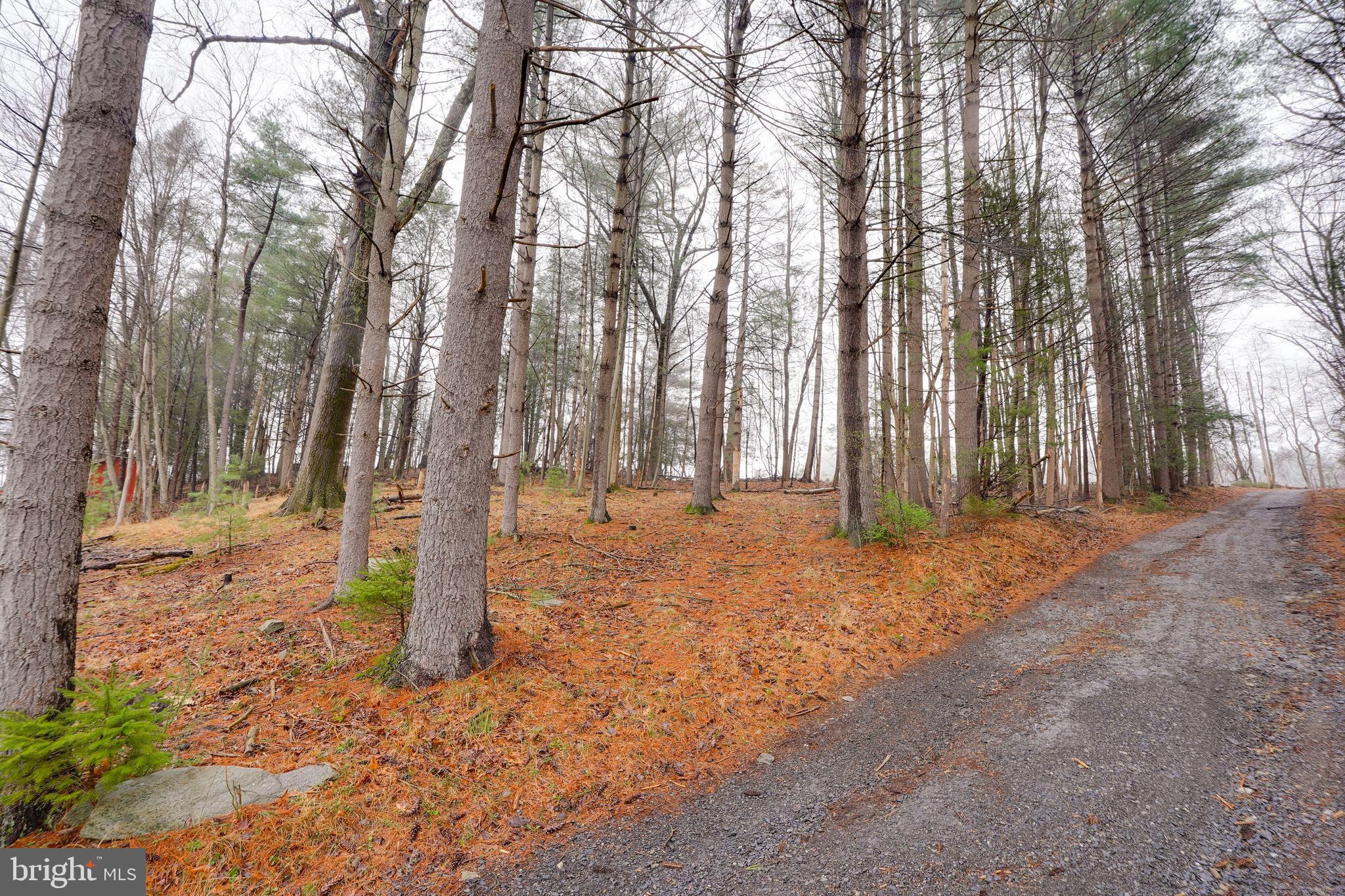 3065 Buchanan Valley Road Orrtanna, PA 17353 - Photo 10 of 12