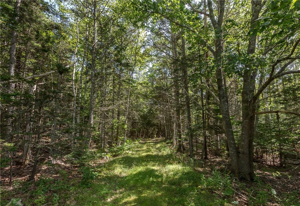 920 Ocean Point Road East Boothbay, ME 04544 - Photo 28 of 31 Photo