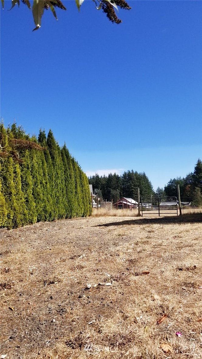 8024 188th Avenue Southwest Rochester, WA 98579 - Photo 18 of 22