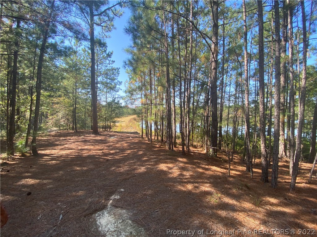 310 Old County Line Road Cameron, NC 28326 - Photo 12 of 17 Gallery Image 12