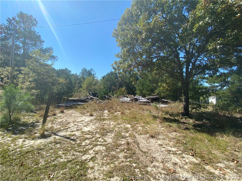 310 Old County Line Road Cameron, NC 28326 - Photo 3 of 17 Gallery Image 3