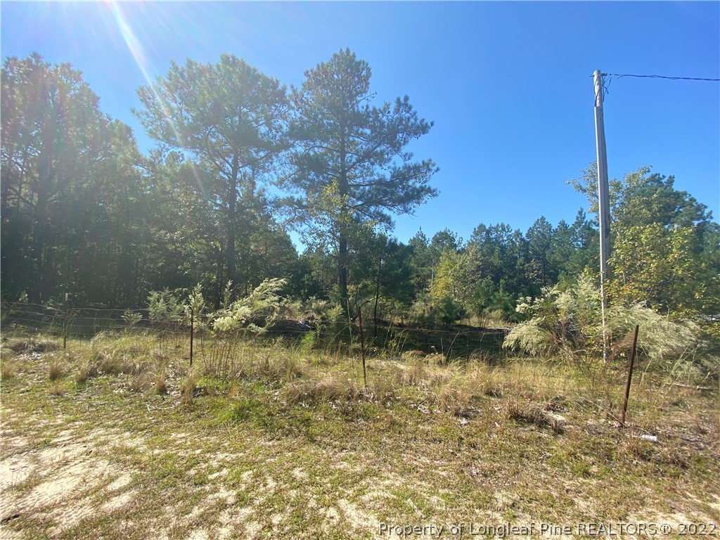 310 Old County Line Road Cameron, NC 28326 - Photo 4 of 17 Gallery Image 4