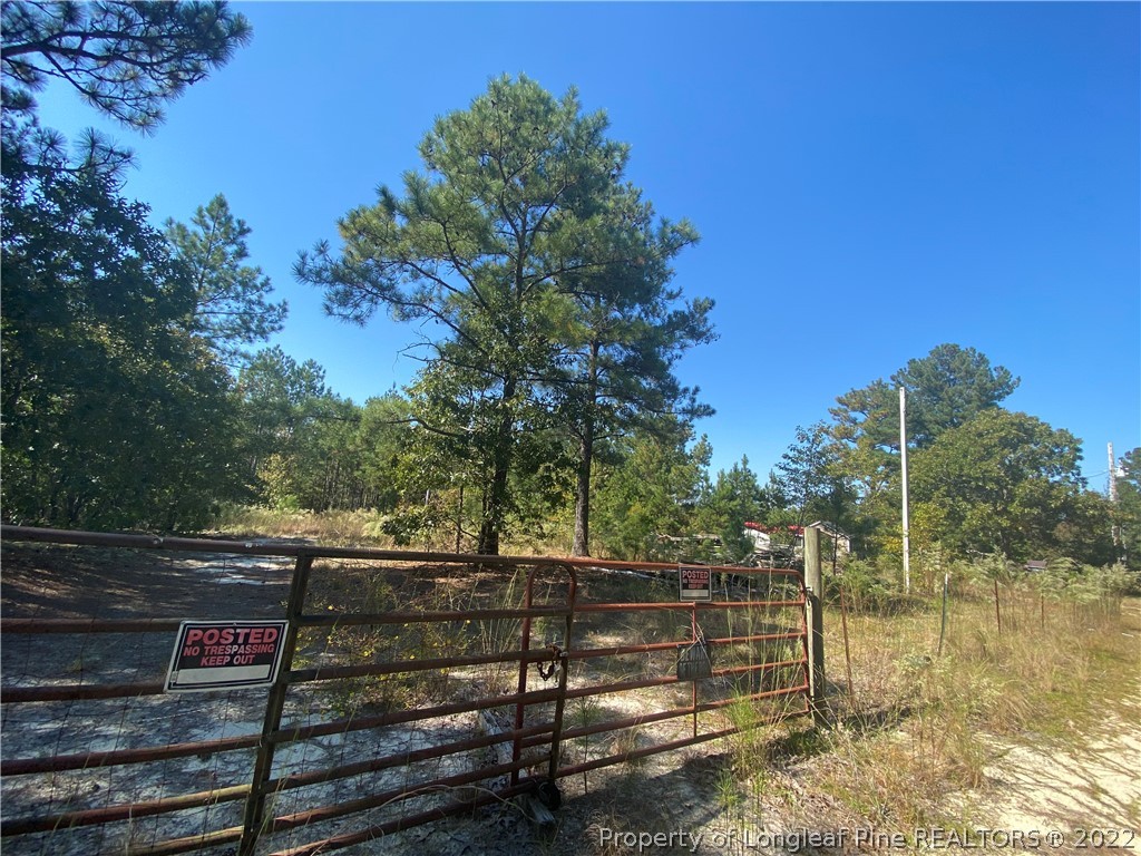 310 Old County Line Road Cameron, NC 28326 - Photo 5 of 17 Gallery Image 5