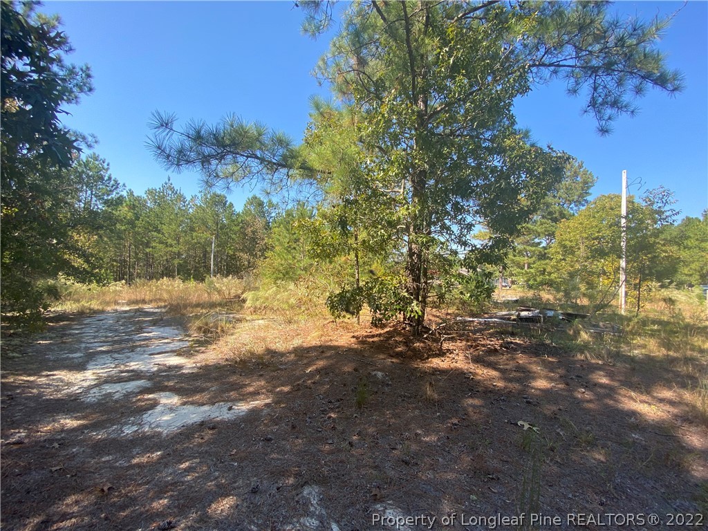 310 Old County Line Road Cameron, NC 28326 - Photo 8 of 17 Gallery Image 8