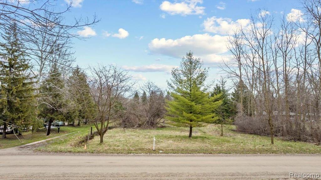 Vacant Merriman Road New Boston, MI 48164 - Photo 11 of 12