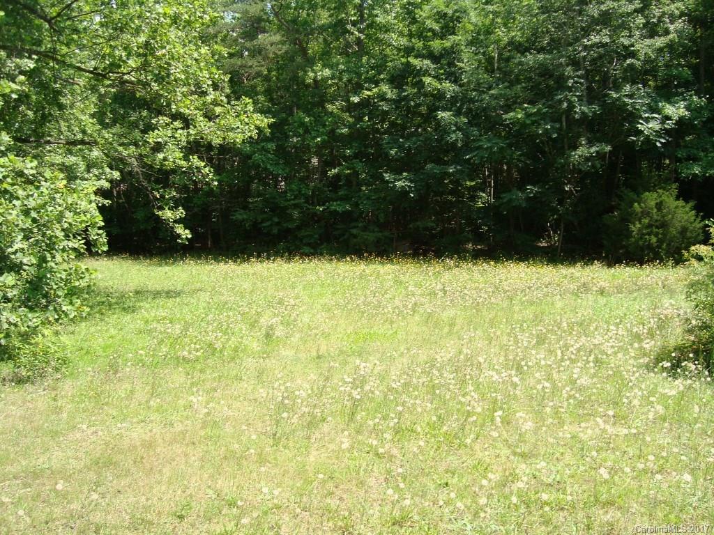 1057 Capps Road Tryon, NC 28782 - Photo 16 of 18