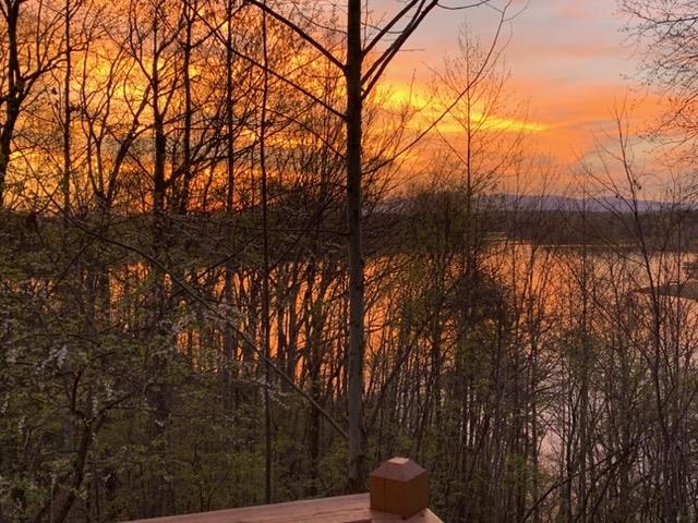 118 Sunset Drive Inman, SC 29349 - Photo 38 of 43