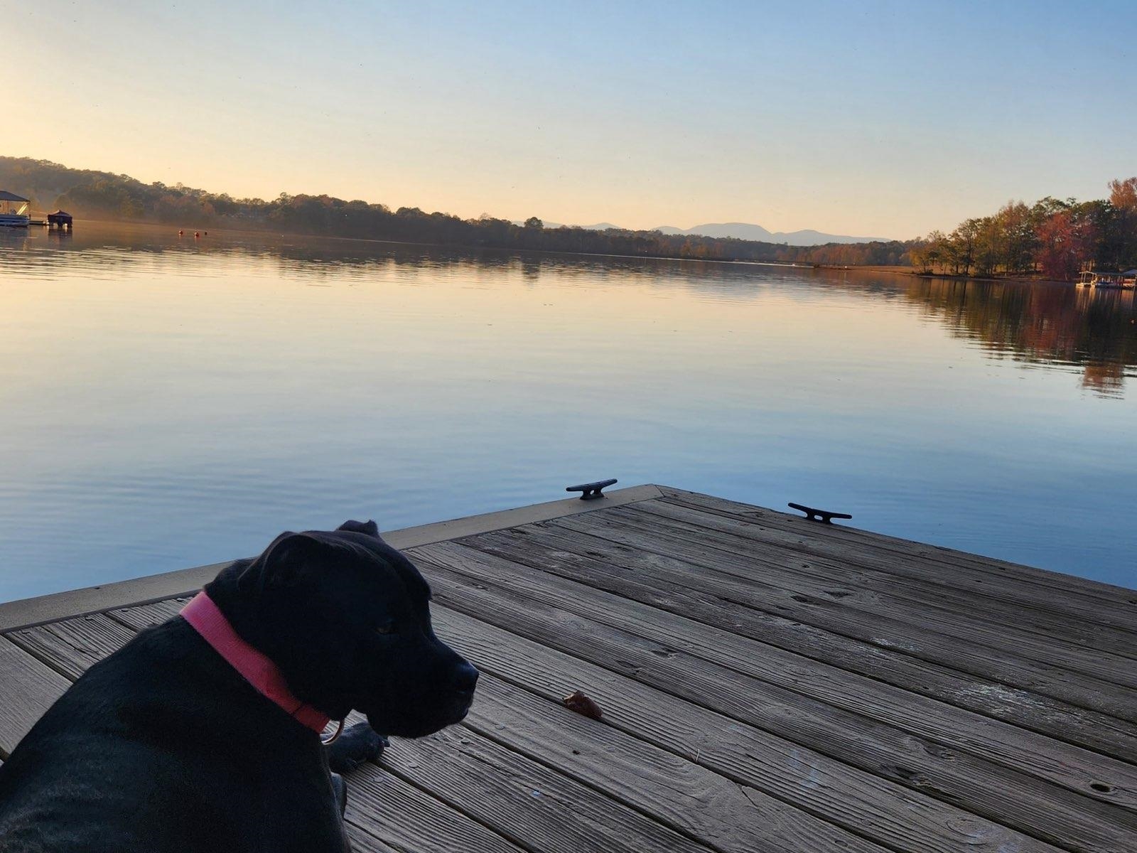 118 Sunset Drive Inman, SC 29349 - Photo 40 of 43