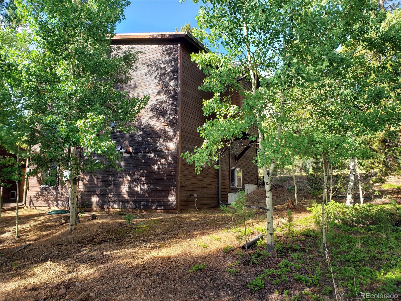 75 West Crosscut Road Bailey, CO 80421 - Photo 12 of 22 a view of a yard with plants and trees
