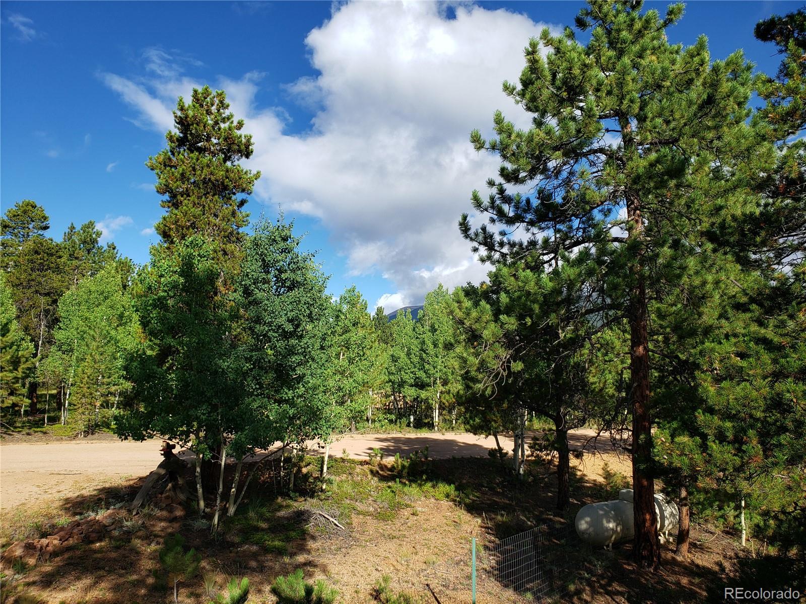 75 West Crosscut Road Bailey, CO 80421 - Photo 16 of 22 a backyard of a house with lots of green space