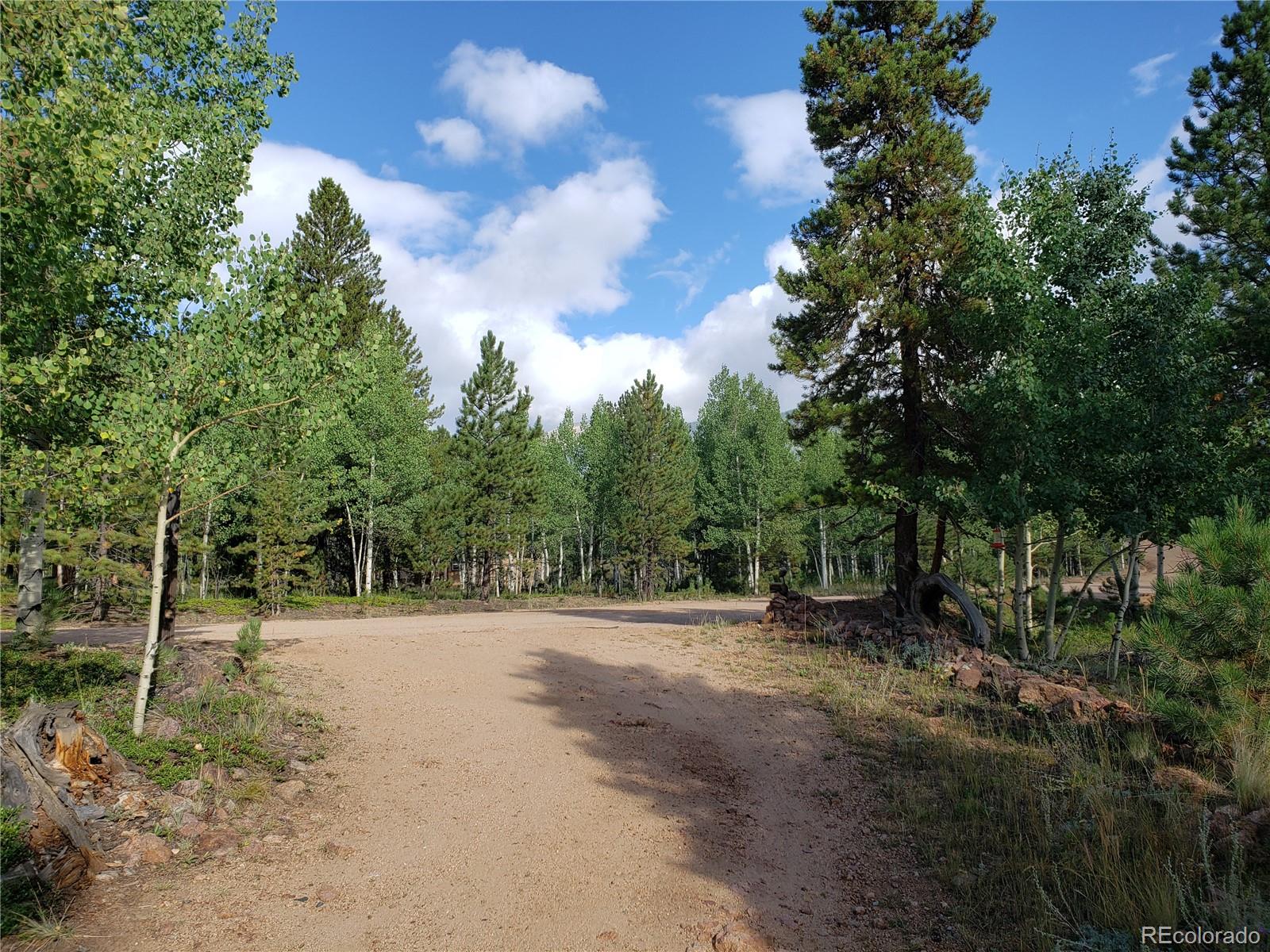 75 West Crosscut Road Bailey, CO 80421 - Photo 18 of 22 a view of a forest with trees in the background