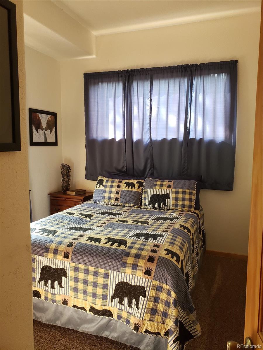75 West Crosscut Road Bailey, CO 80421 - Photo 8 of 22 a living room with a bed