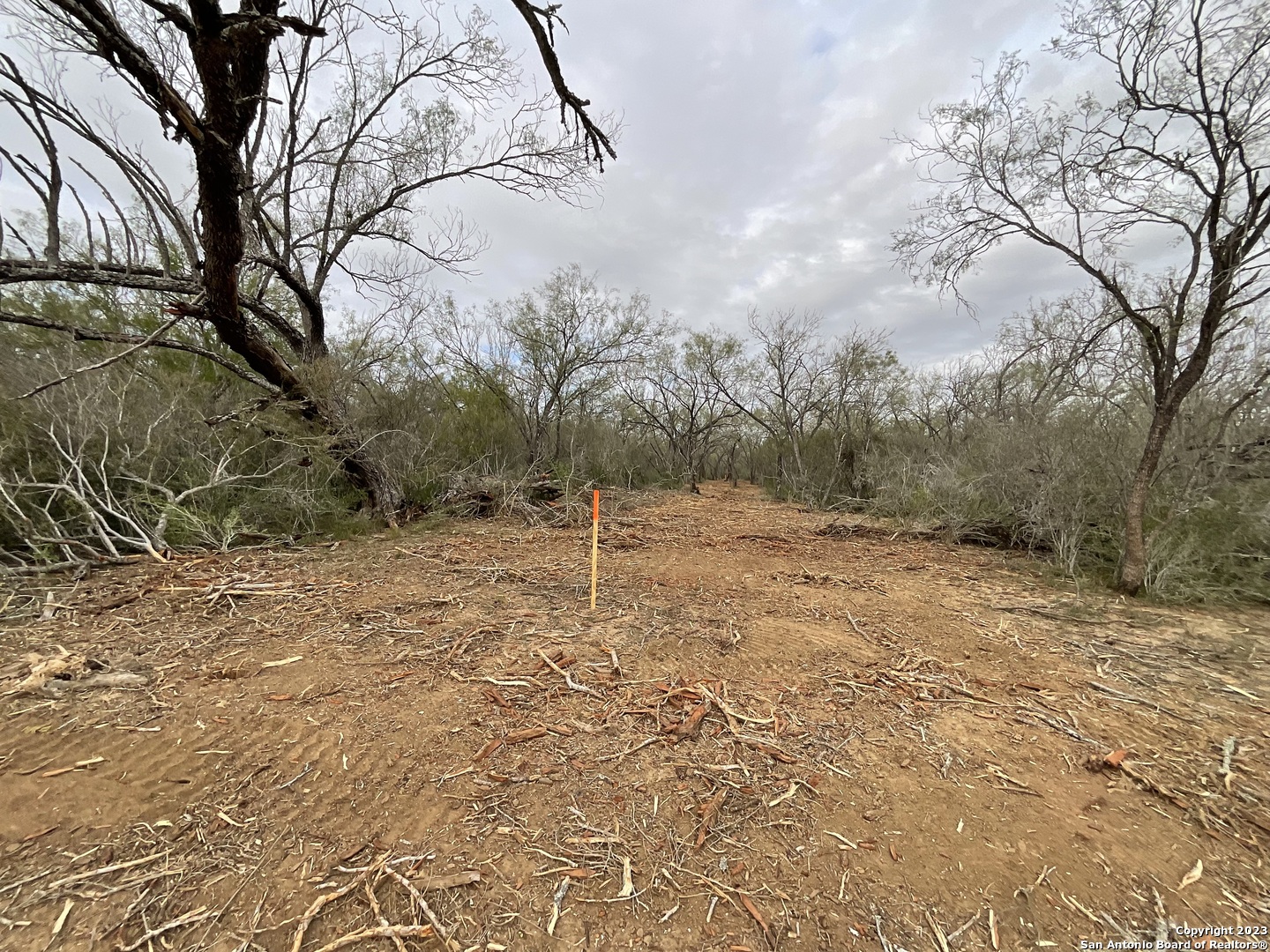 137 Sylas Hayes Loop Pleasanton, TX 78064 - Photo 11 of 31 a backyard of a house with large trees