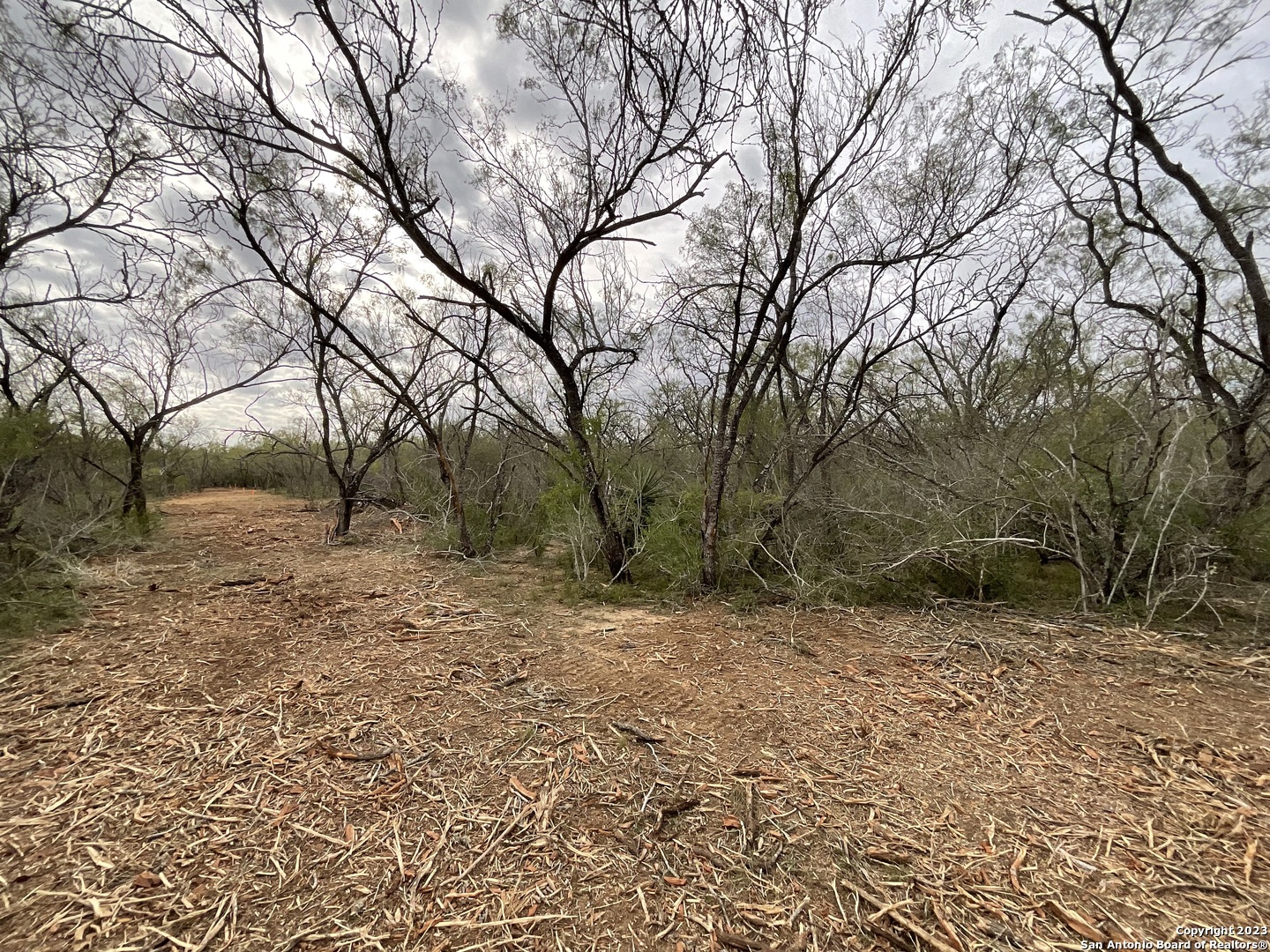 137 Sylas Hayes Loop Pleasanton, TX 78064 - Photo 12 of 31 a view of backyard with green space
