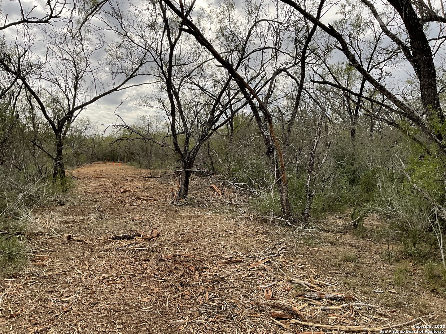 137 Sylas Hayes Loop Pleasanton, TX 78064 - Photo 14 of 31 a view of a yard with plants and trees