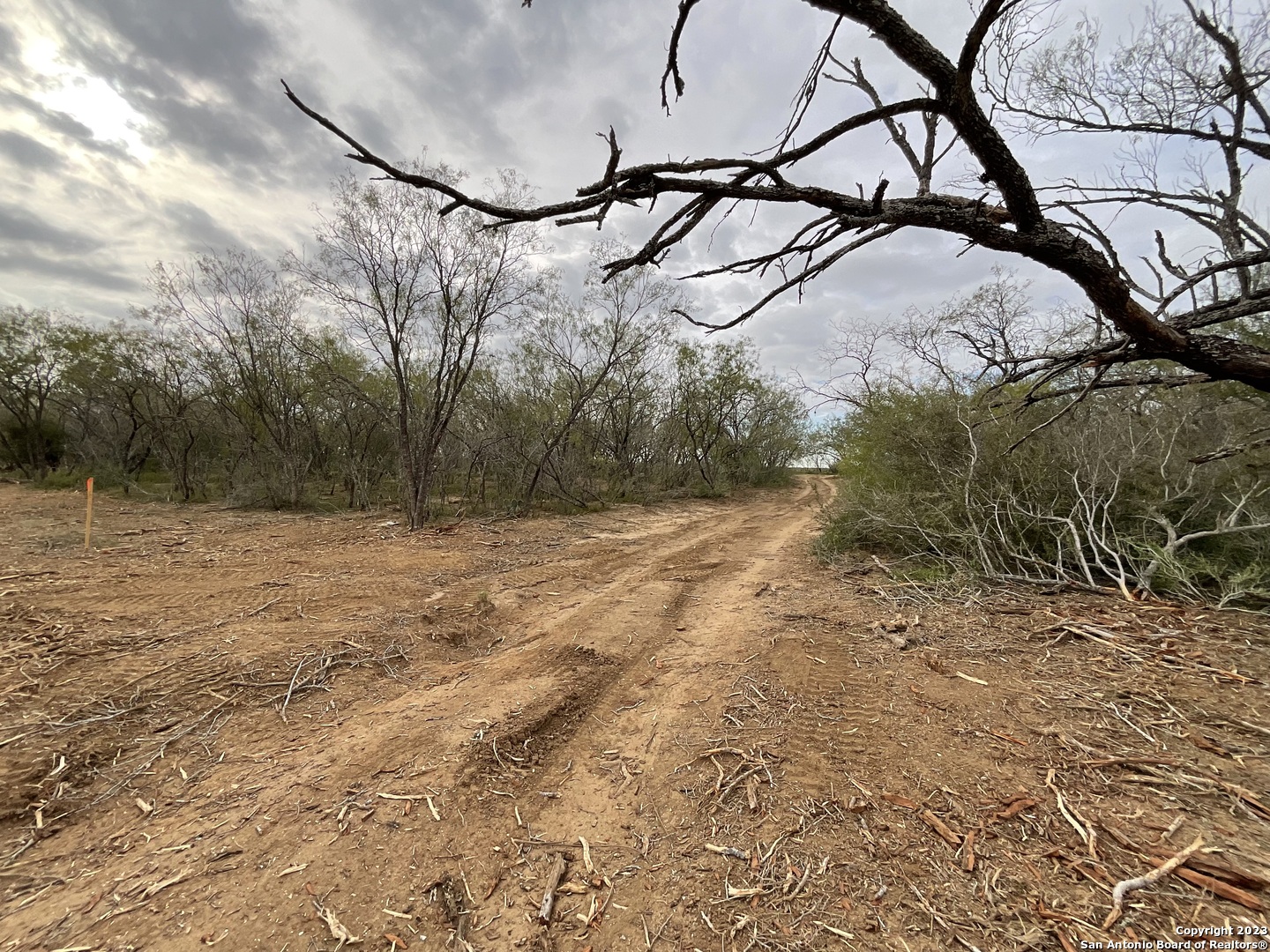 137 Sylas Hayes Loop Pleasanton, TX 78064 - Photo 15 of 31 a backyard of a house