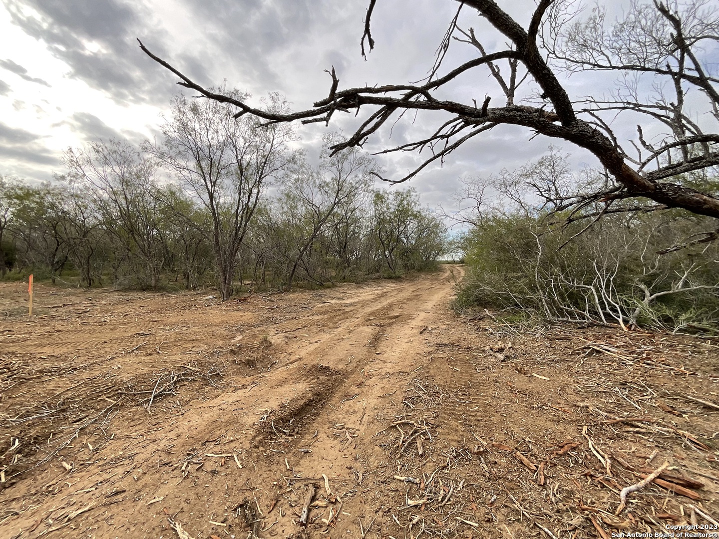137 Sylas Hayes Loop Pleasanton, TX 78064 - Photo 16 of 31 a backyard of a house with lots of green space