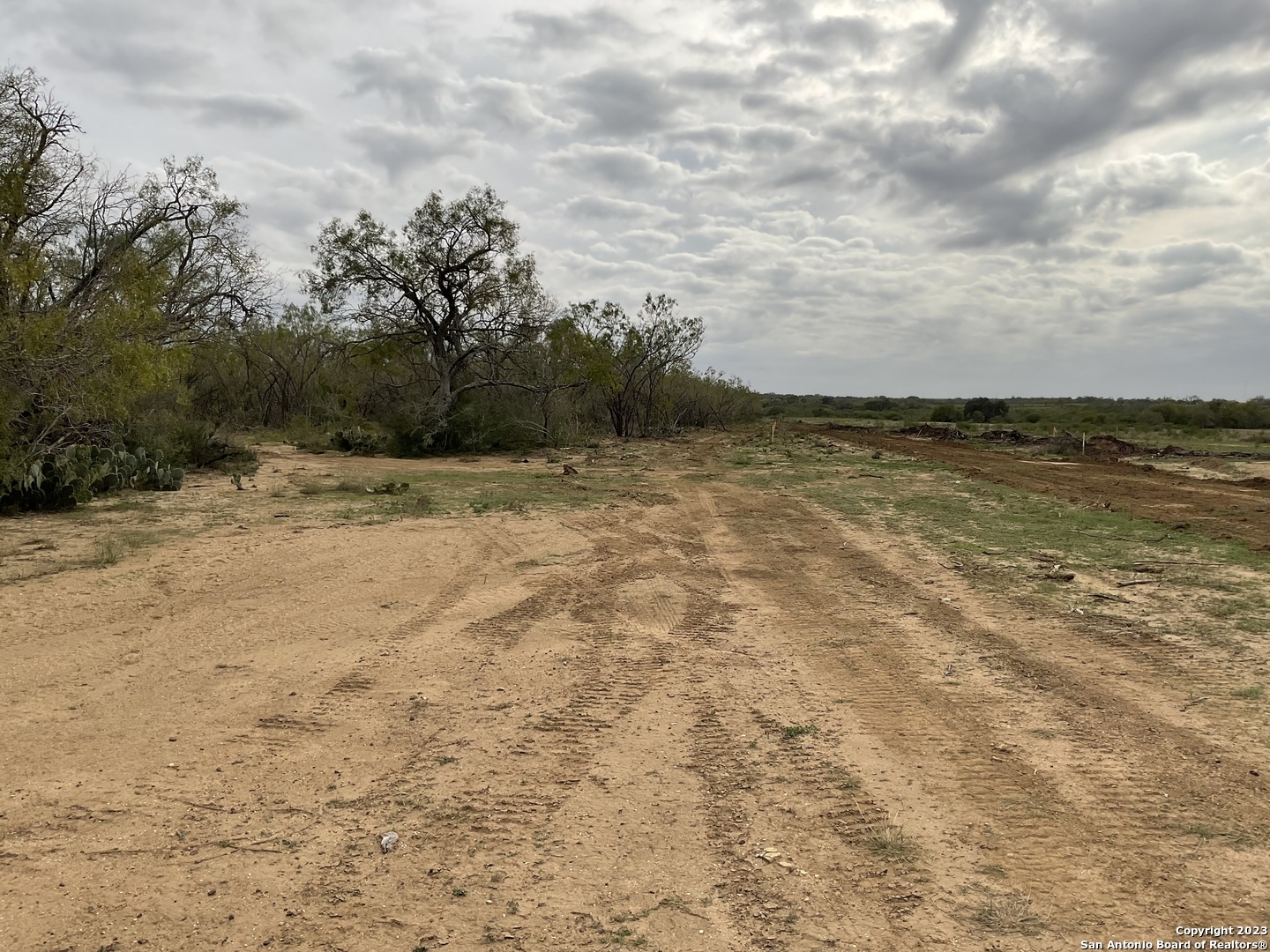 137 Sylas Hayes Loop Pleasanton, TX 78064 - Photo 19 of 31 a view of a lake view