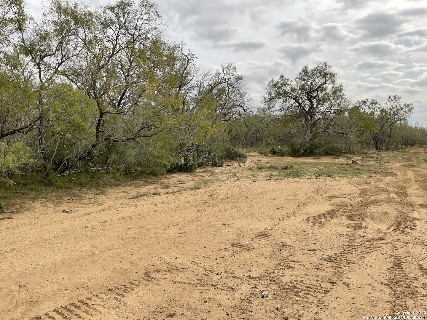137 Sylas Hayes Loop Pleasanton, TX 78064 - Photo 20 of 31 a view of a yard with trees