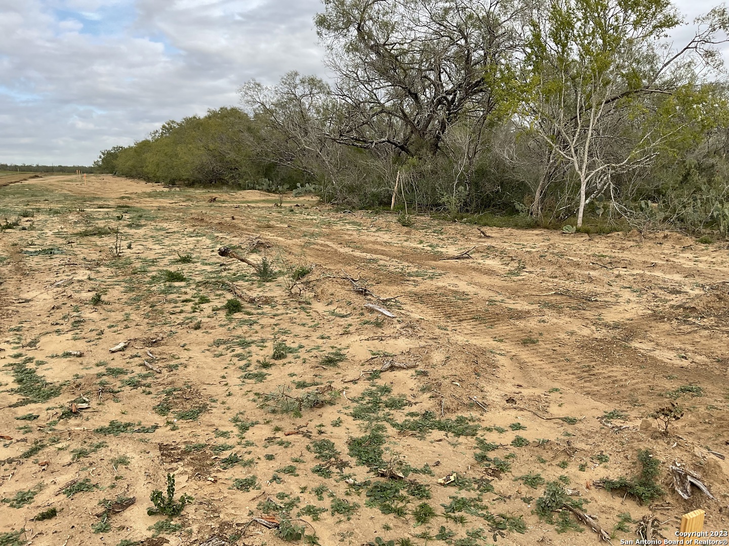 137 Sylas Hayes Loop Pleasanton, TX 78064 - Photo 2 of 31 a view of a yard with a tree