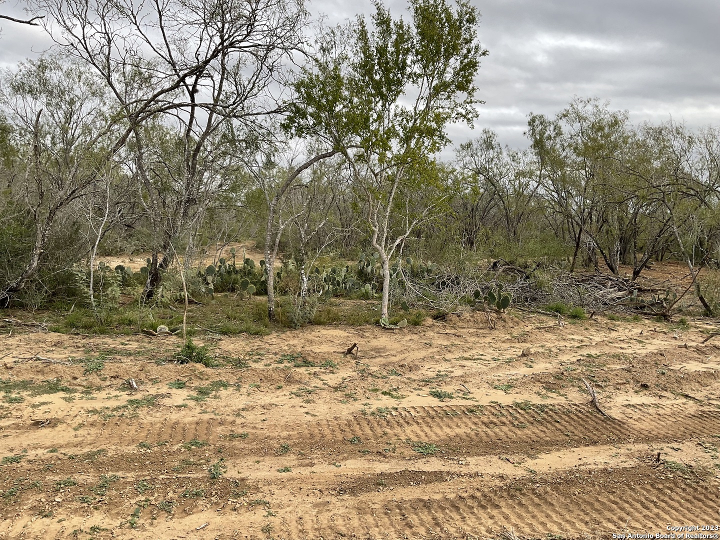 137 Sylas Hayes Loop Pleasanton, TX 78064 - Photo 3 of 31 a view of a yard with trees