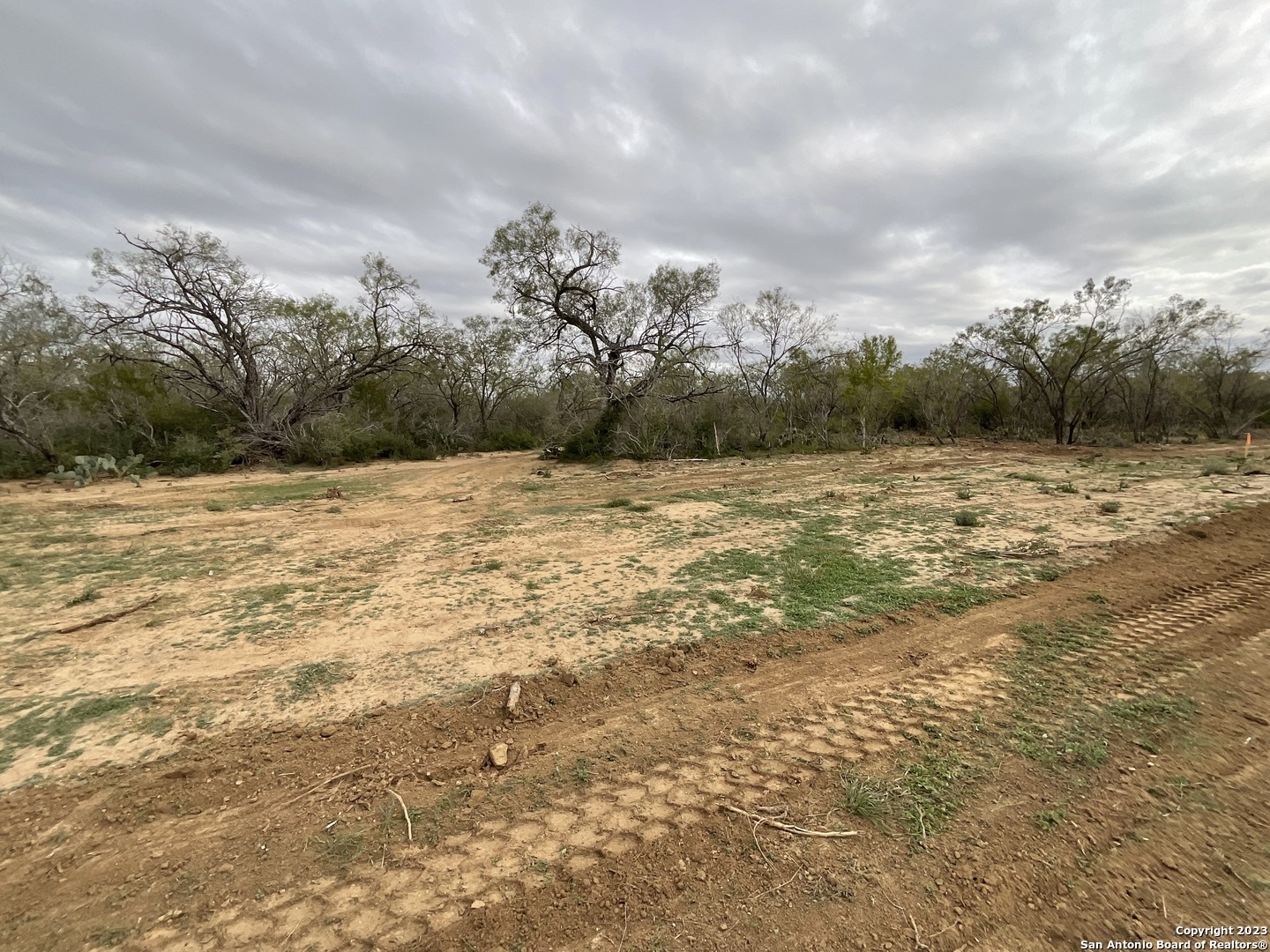 137 Sylas Hayes Loop Pleasanton, TX 78064 - Photo 4 of 31 a view of an ocean beach