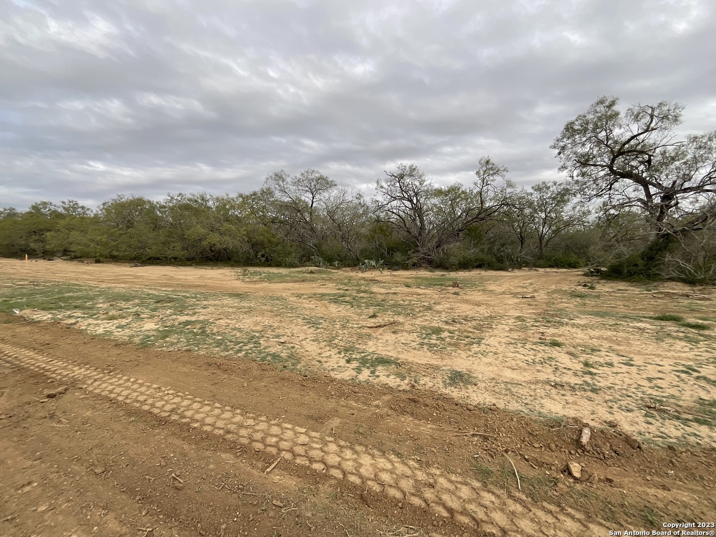 137 Sylas Hayes Loop Pleasanton, TX 78064 - Photo 5 of 31 a view of a lake view