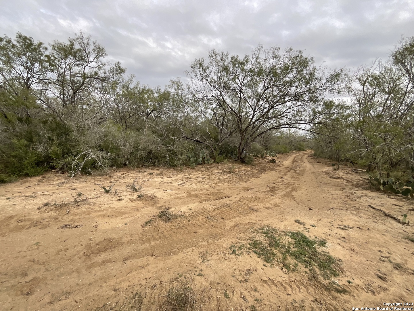 137 Sylas Hayes Loop Pleasanton, TX 78064 - Photo 7 of 31 a view of a yard with trees